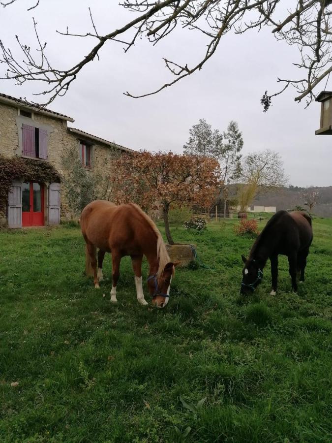Willa Terres De Barrejat Cazals-des-Bayles Zewnętrze zdjęcie